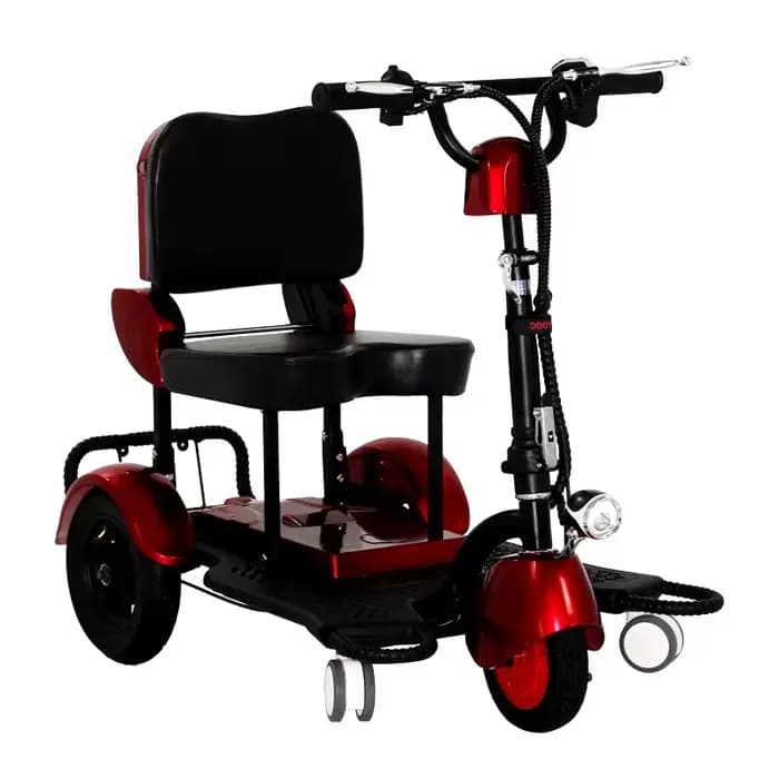Tricycle électrique 300W 48V