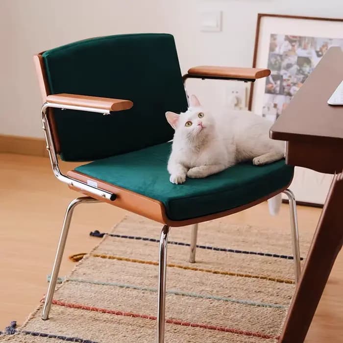 Chaise de salle à manger d'hôtel, fauteuil de négociation pour la maison, chaise de maquillage pour chambre de fille avec dossier, chaise de restaurant en bois massif de luxe léger