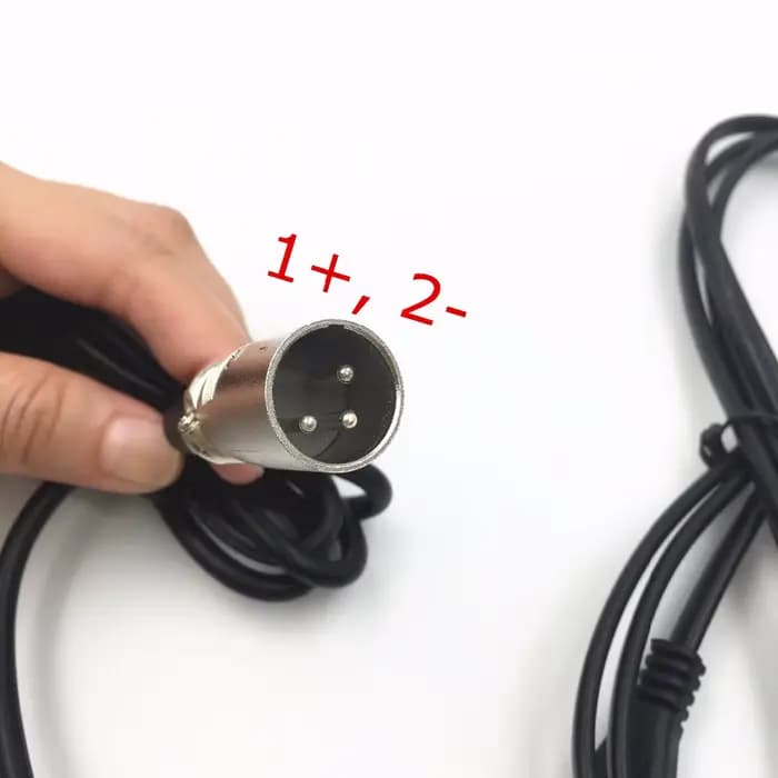 Chargeur de chariot de Golf pour fauteuil roulant 24V 2A