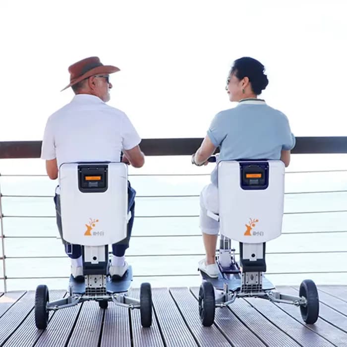 Tricycle Électrique Pliable et observateur pour Personnes Âgées