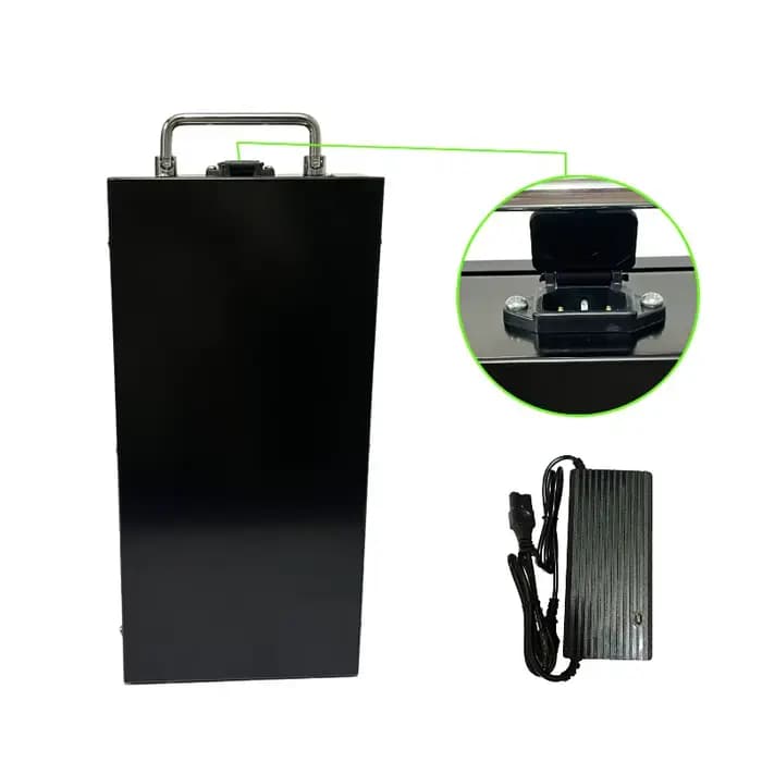 Scooter électrique 60V 20Ah-40Ah 2000W avec chargeur gratuit
