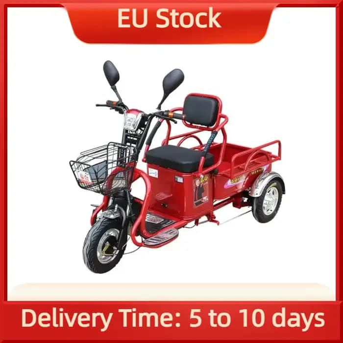 Tricycle électrique puissant à longue portée 1000W