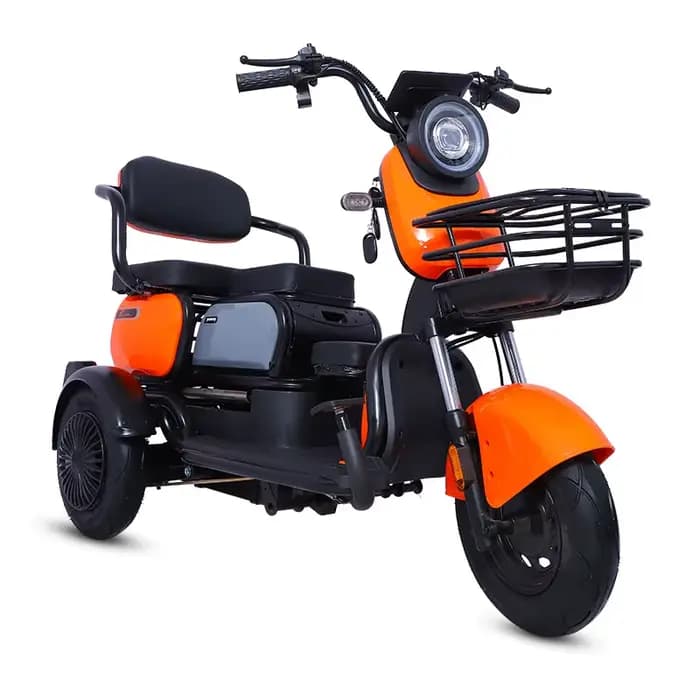 Tricycles électriques à 3 roues pour adultes
