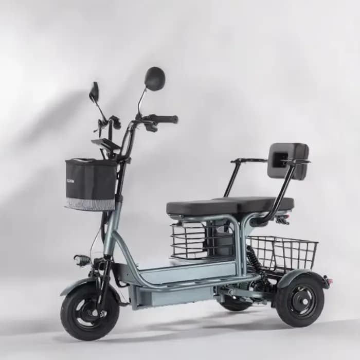 Scooter électrique à 3 roues 800W 48V