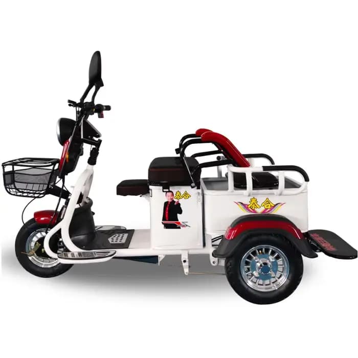 Tricycle électrique à 3 roues pour adultes
