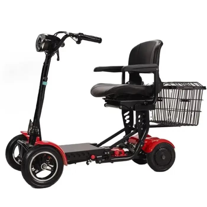 Scooter électrique à double moteur 250W x 2