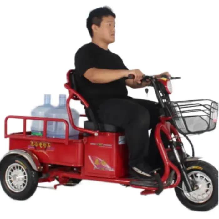Tricycle électrique puissant à longue portée 1000W
