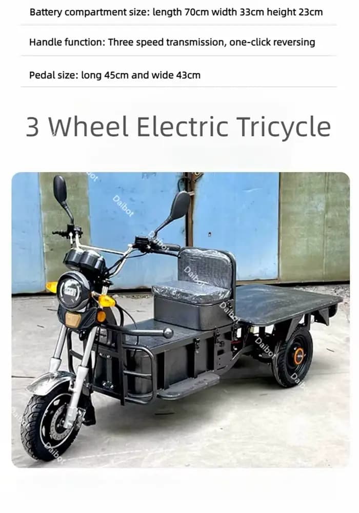Scooter de mobilité électrique familial à 3 roues adulte tout Terrain pour les longs voyages Tricycle