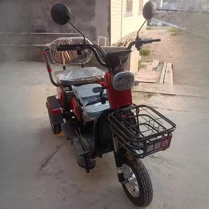 Tricycle électrique pour adultes
