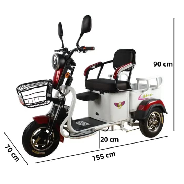 Tricycle électrique à 3 roues pour adultes