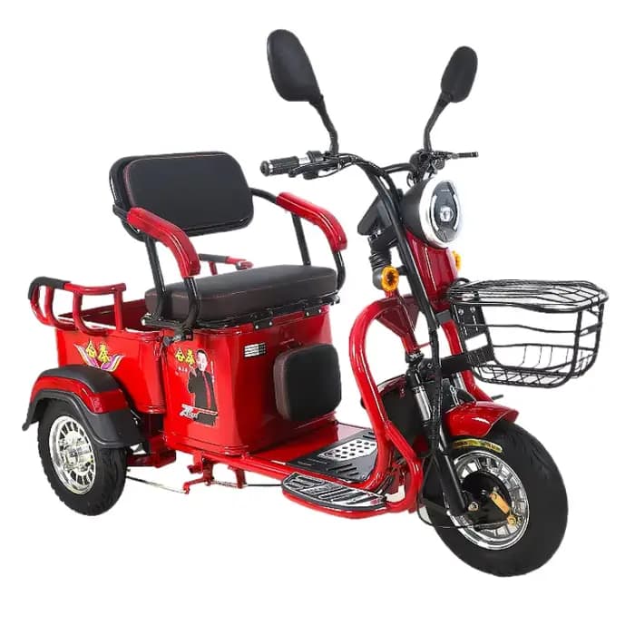 Tricycle électrique à 3 roues pour adultes