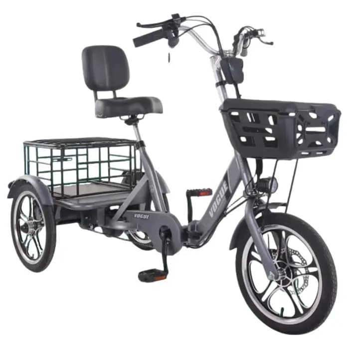 400W adulte Cargo vélo électrique nouveau Tricycle