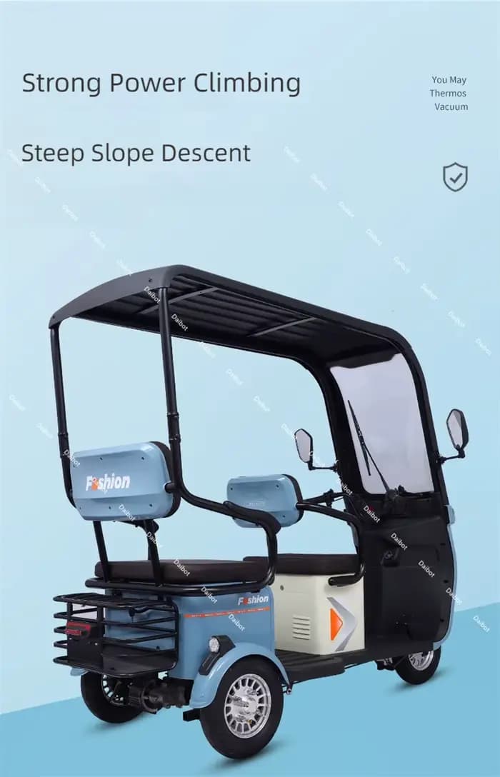 Tricycle électrique puissant à longue portée 1000W