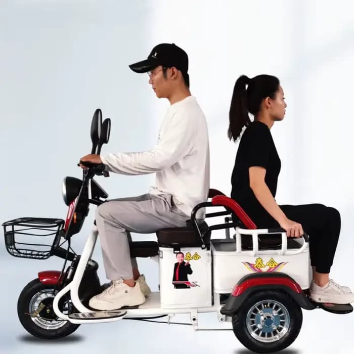 Tricycle électrique à 3 roues pour adultes