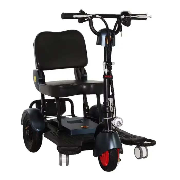 Tricycle électrique 300W 48V