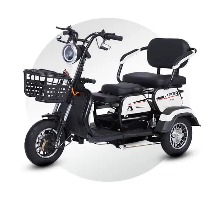 Tricycle électrique avec siège passager pour adultes et personnes âgées