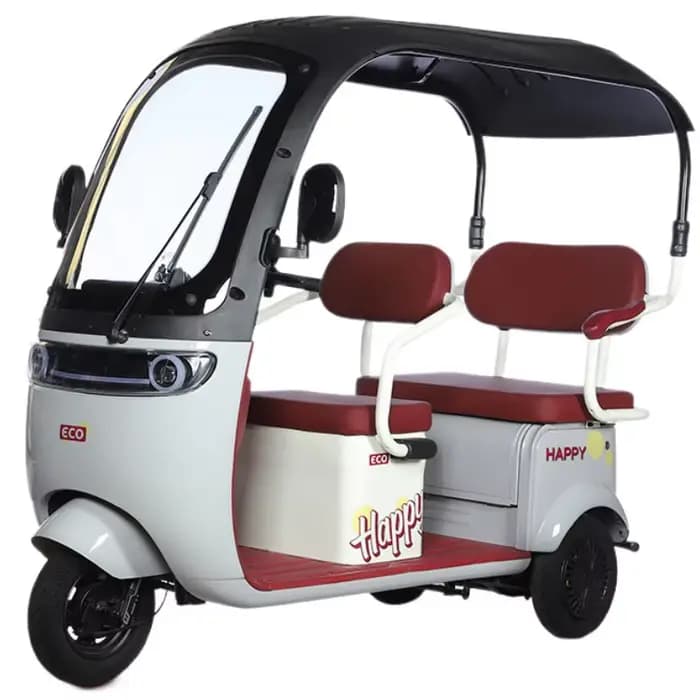 Tricycle Électrique Cargo avec Siège Passager pour Adulte