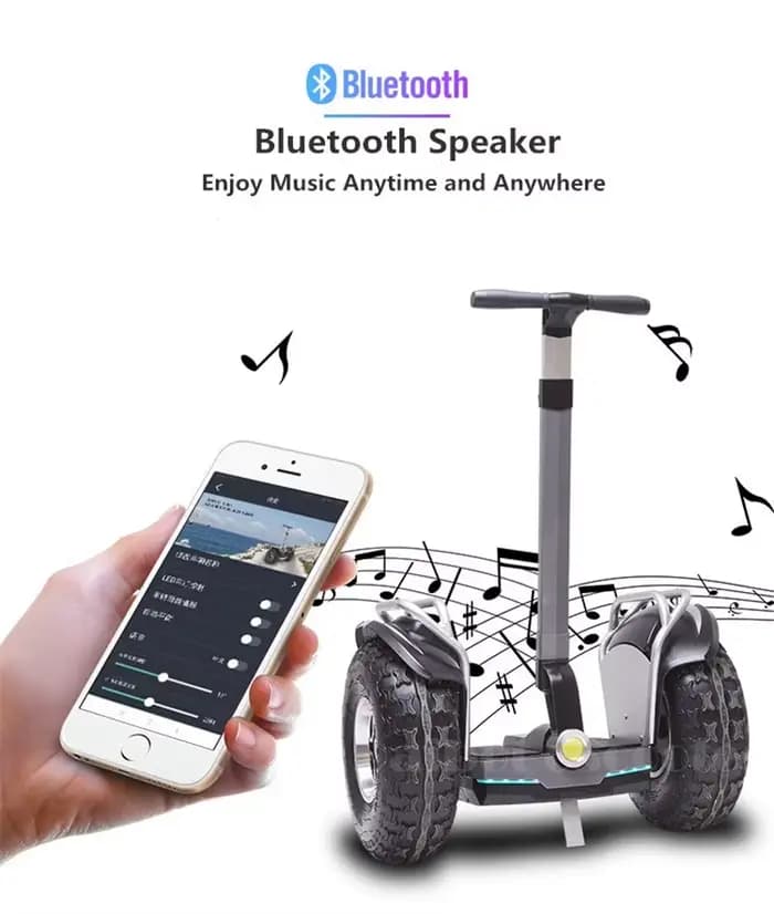 Daibot hors route adulte Scooter électrique 19 pouces auto équilibrage Scooters 1200W * 2