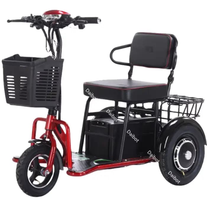 Petit Tricycle électrique pré-assemblé