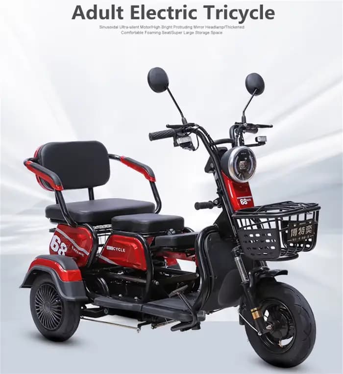 Petit Scooter électrique à 3 roues pour 2 sièges adultes