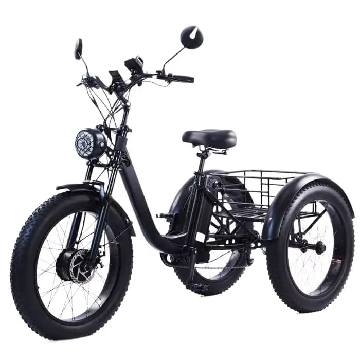 Tricycle électrique de chargement de 3 roues pour adulte puissant 750W 48V 15AH 24 pouces gros VTT