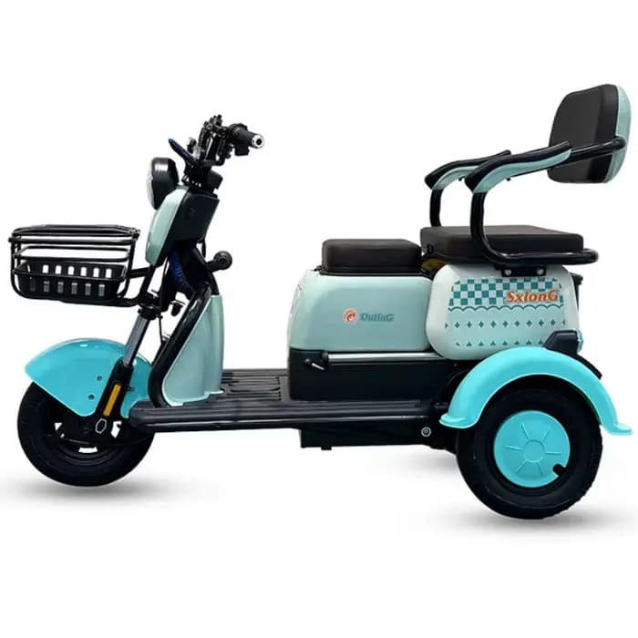 1000W 60V nouveau Scooter électrique marron rose pour personnes âgées femmes 3 roues Tricycle