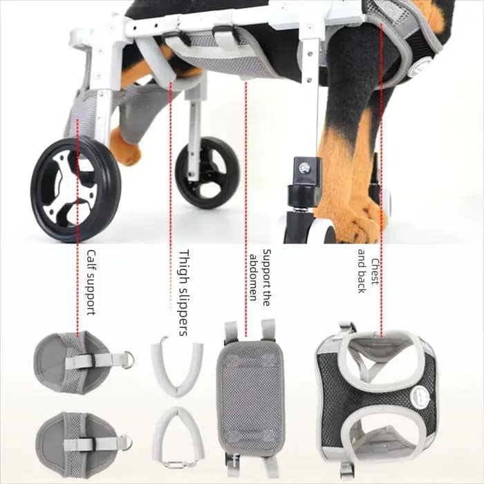 Chariot de Mobilité Réglable pour Animaux de Compagnie avec Roues – Aide à la Rééducation pour Chiens et Chats