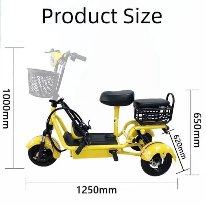 Petit Tricycle électrique familial pour personnes âgées