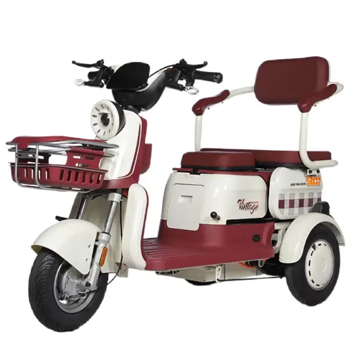 Tricycle électrique adulte avec siège passager personnes âgées ramasser les enfants 1000W tout Terrain 3 roues Scooter