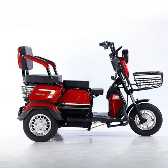 Tricycle électrique pour adultes