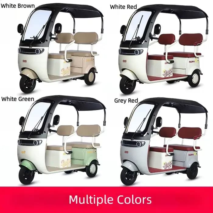 Tricycle Électrique Cargo avec Siège Passager pour Adulte
