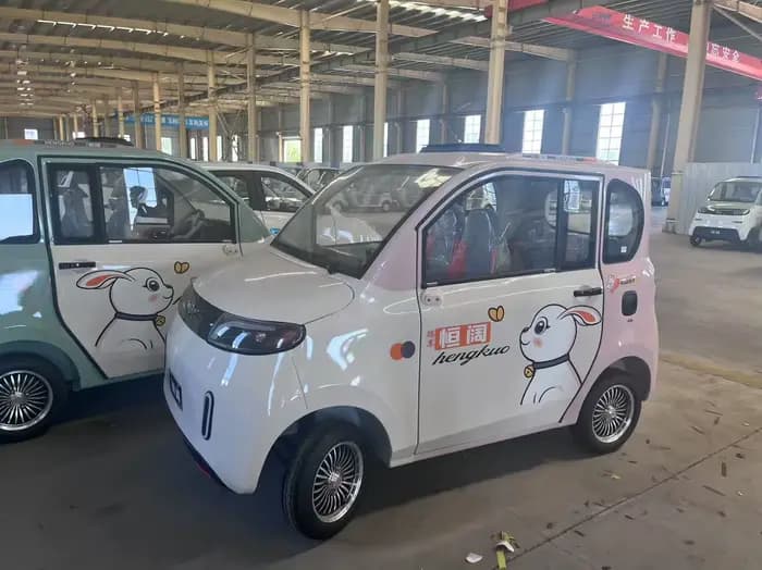Véhicule électrique âgé de scooter de mobilité adulte à basse vitesse longue portée de tension 110V-260V