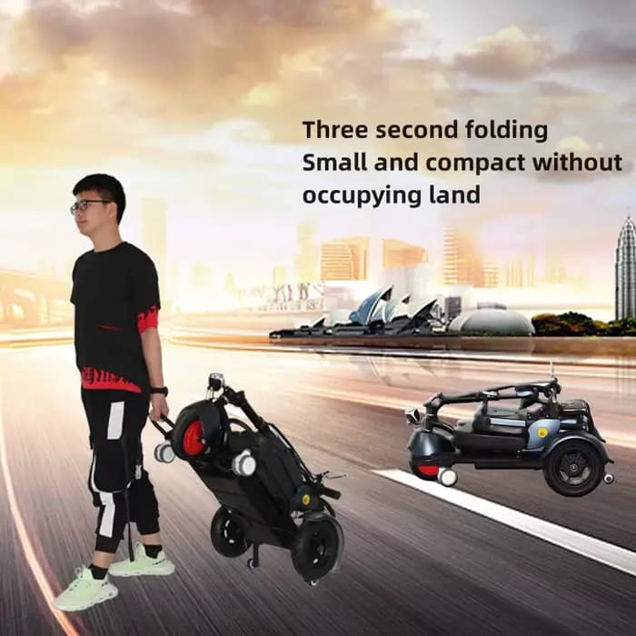 Tricycle électrique 300W 48V