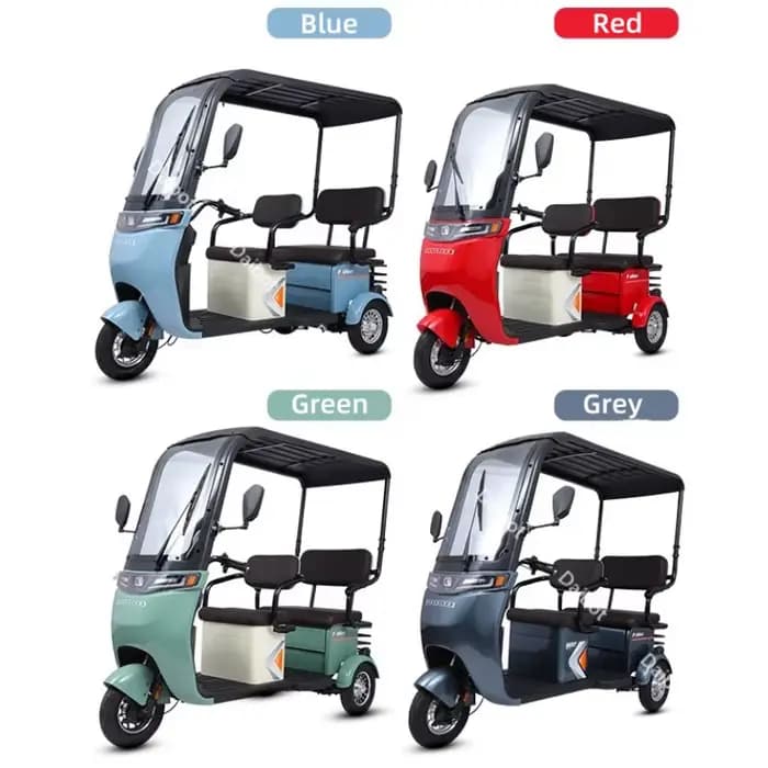 Tricycle électrique puissant à longue portée 1000W