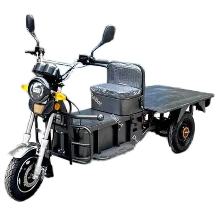 Scooter de mobilité électrique familial à 3 roues adulte tout Terrain pour les longs voyages Tricycle