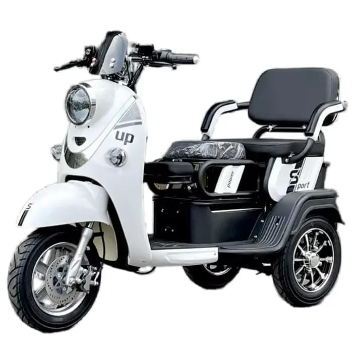 Tricycle électrique pour personnes âgées