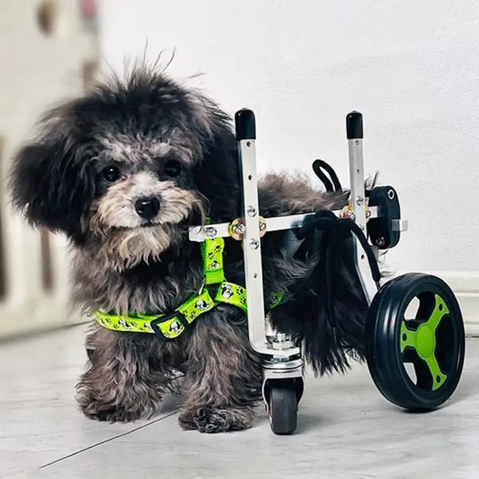 Fauteuil roulant pour chien à 4 roues