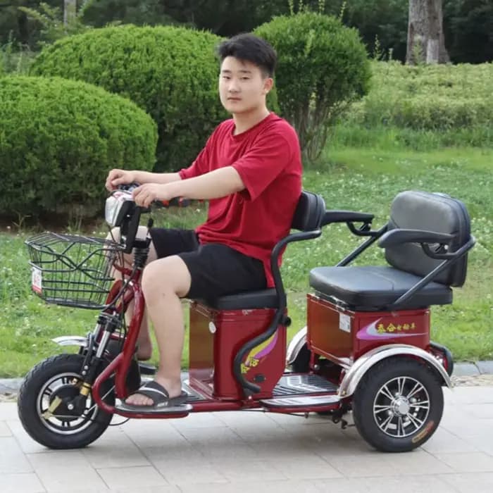 600W 60V 3 roues Parent enfant Scooter électrique 2 places pour personnes âgées avec batterie amovible Tricycle