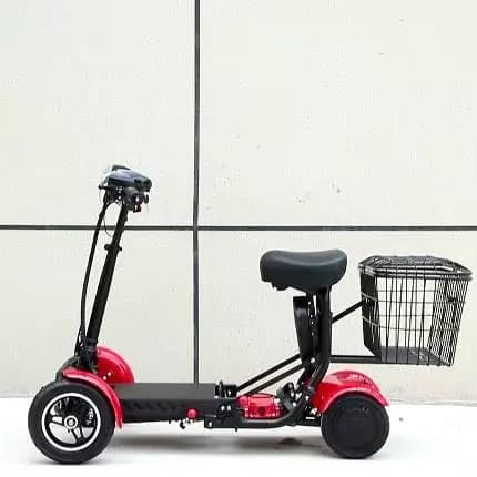Scooter électrique adulte handicapé Double moteur 500W36V 2 places