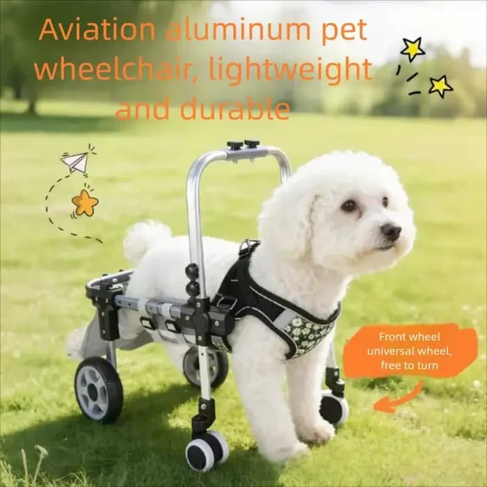 Chariot de Mobilité Réglable pour Animaux de Compagnie avec Roues – Aide à la Rééducation pour Chiens et Chats