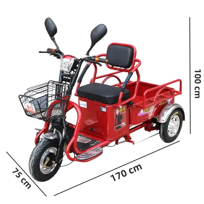 Tricycle électrique adulte à 3 roues pour personnes âgées