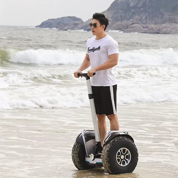 Daibot hors route adulte Scooter électrique 19 pouces auto équilibrage Scooters 1200W * 2