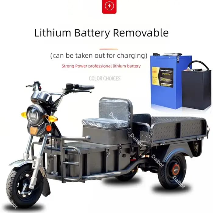 Scooter de mobilité électrique familial à 3 roues adulte tout Terrain pour les longs voyages Tricycle