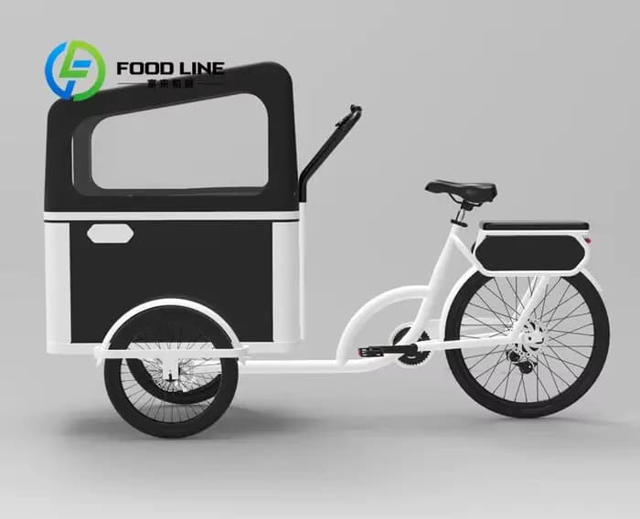 Vélo cargo à pédale électrique à 3 roues avec moteur arrière pour transporter des vélos électriques pour animaux de compagnie