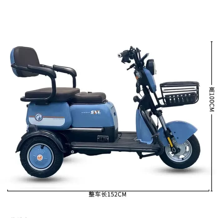 1000W 60V nouveau Scooter électrique marron rose pour personnes âgées femmes 3 roues Tricycle