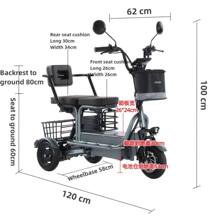 Scooter électrique à 3 roues 800W 48V