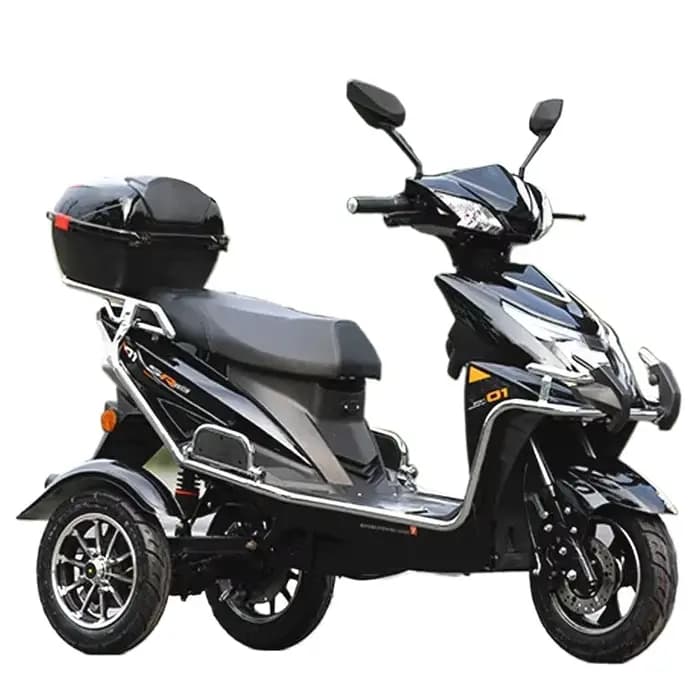 Tricycle électrique pour personnes handicapées, scooter électrique à 3 roues pour personnes âgées, t