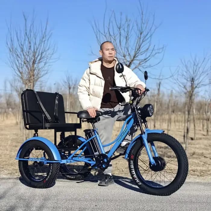 Vélo électrique Cargo à 3 roues 750w avec siège passager pour personnes âgées nouveau