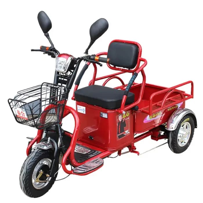 Tricycle électrique adulte à 3 roues pour personnes âgées, batterie au Lithium amovible avec chargem