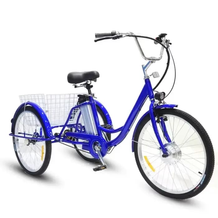 Vélo Cargo électrique à 3 roues pour adultes âgés